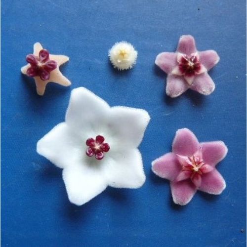 Newsletter 2 - 2022 2023